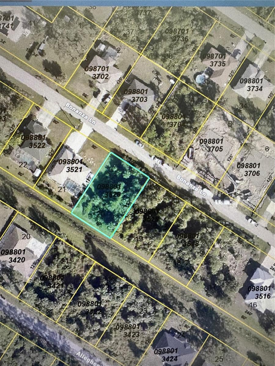 Photo of BONANZA LANE NORTH PORT FL 34286