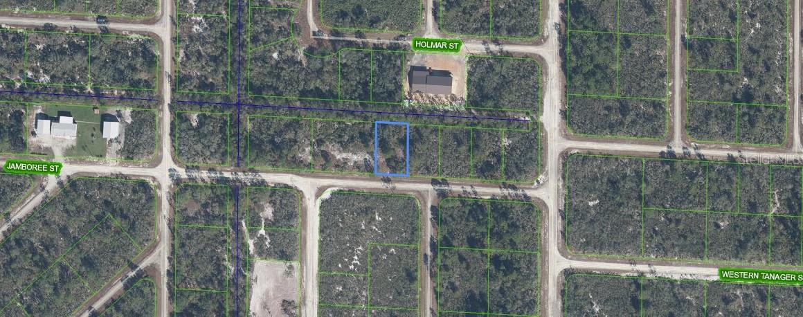 Photo of 3507 & 3509 JAMBOREE STREET LAKE PLACID FL 33852