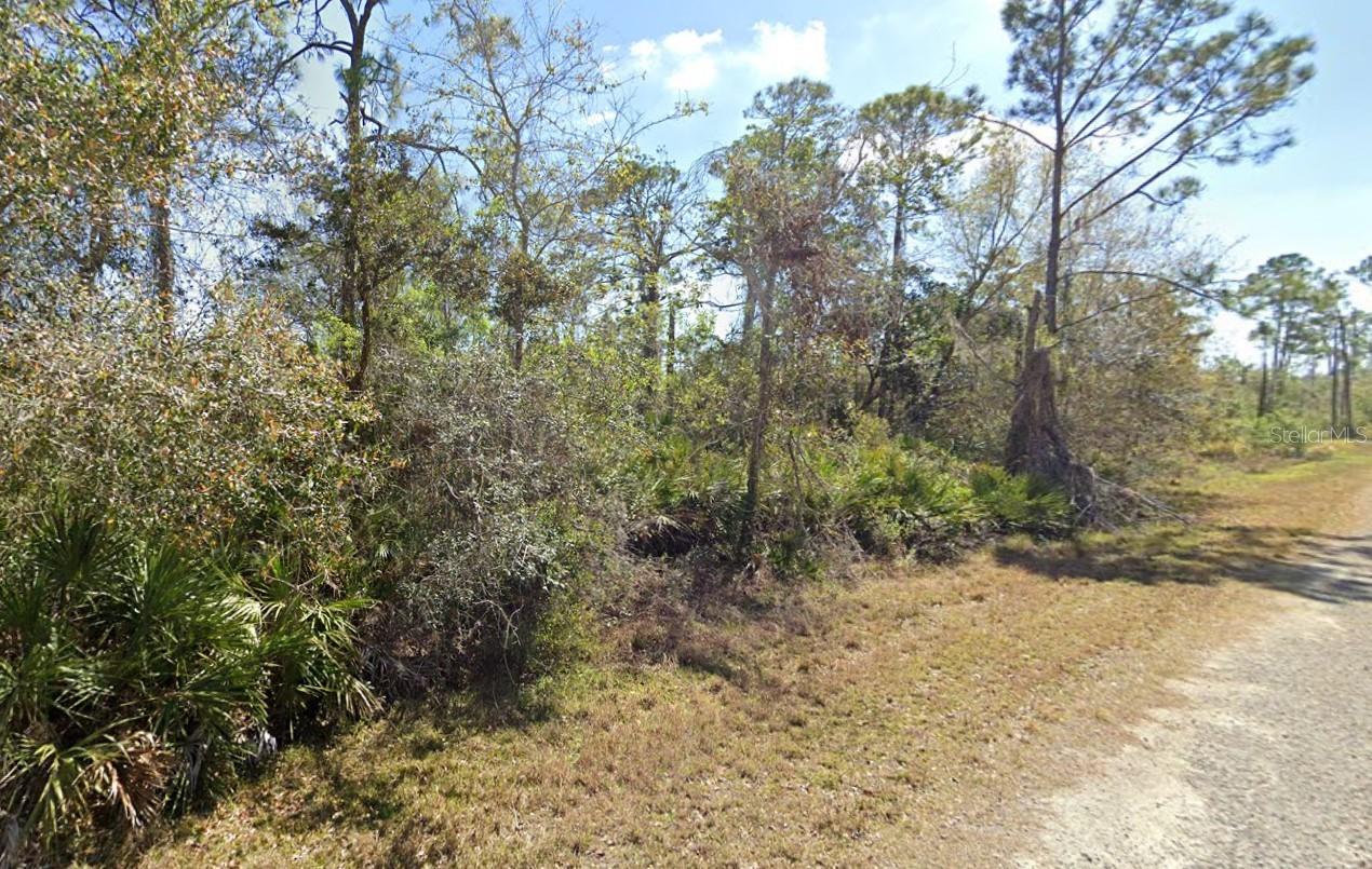 Photo of 810 PACIFIC STREET LAKE PLACID FL 33852