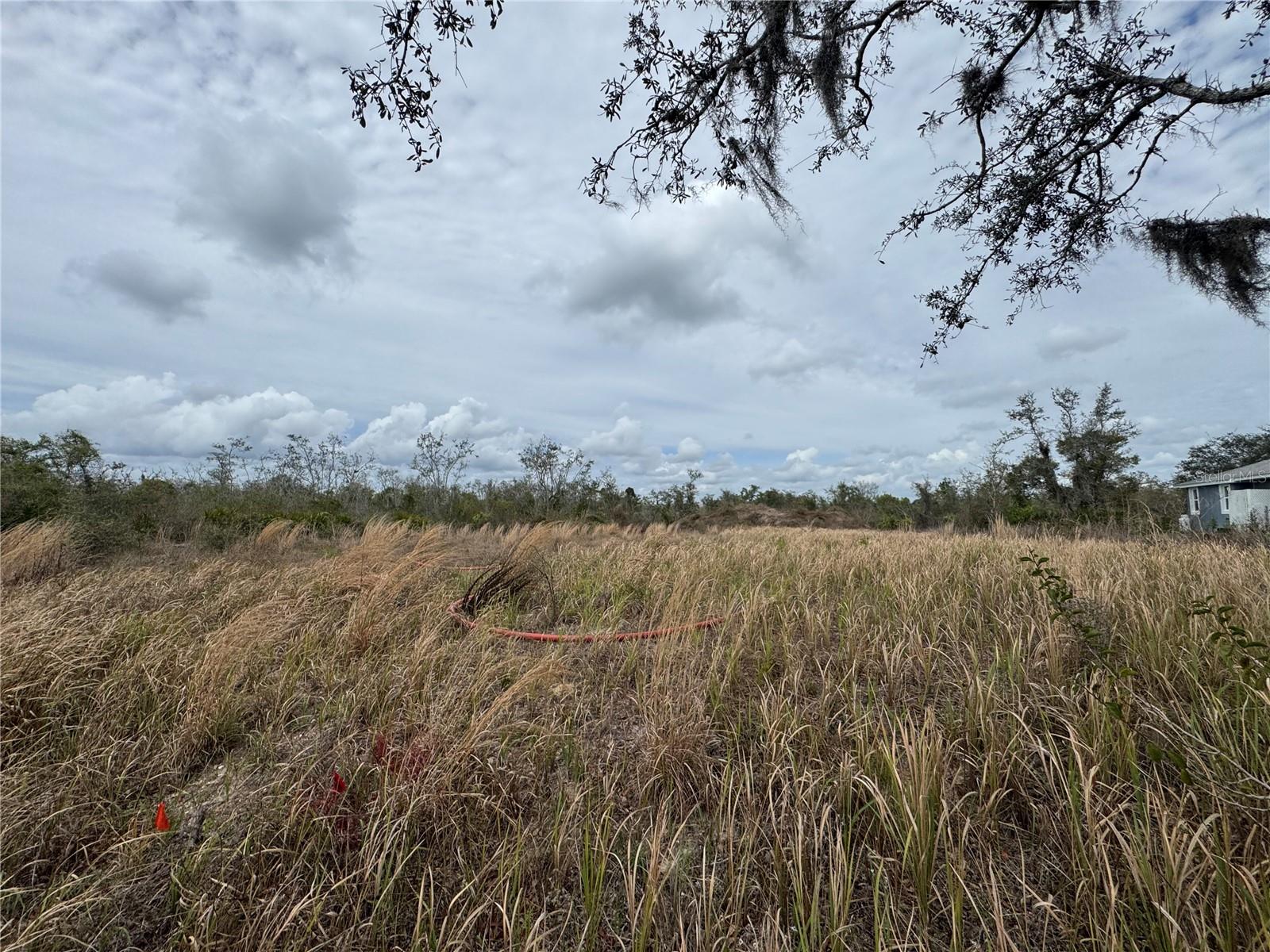 Photo of 8500 SW AVIARY ROAD ARCADIA FL 34269