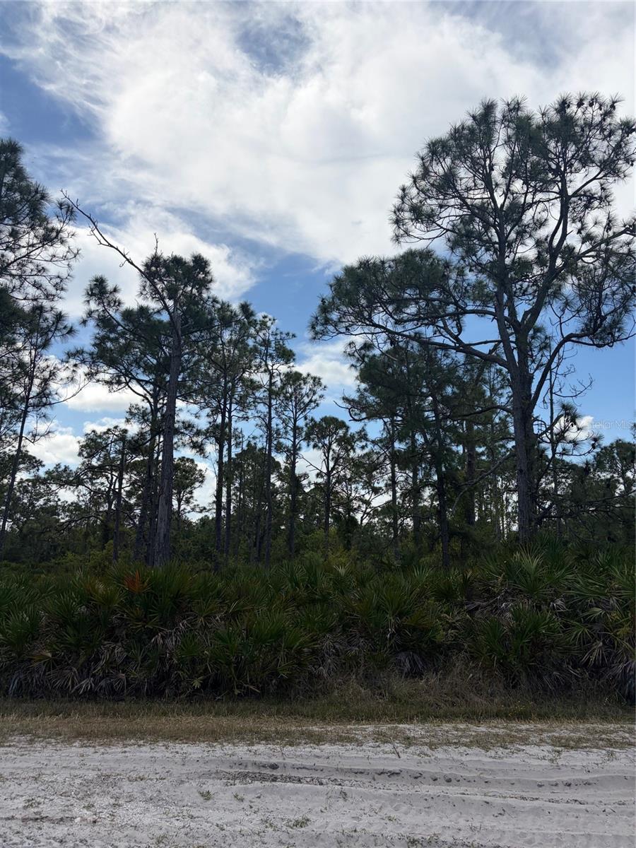 Photo of 28078 RAMIRO DRIVE PUNTA GORDA FL 33955