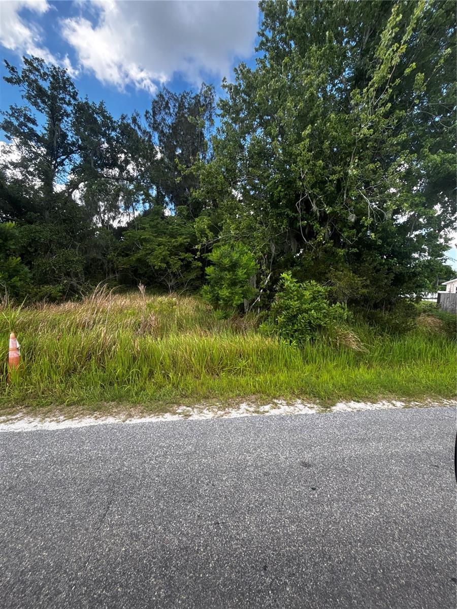 Photo of LEE STREET BOWLING GREEN FL 33834