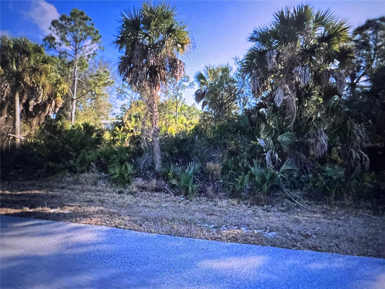 Photo of 26319 BROOKS ROAD PUNTA GORDA FL 33955