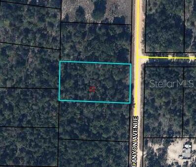 Photo of 0 CANYON AVENUE ALFORD FL 32420