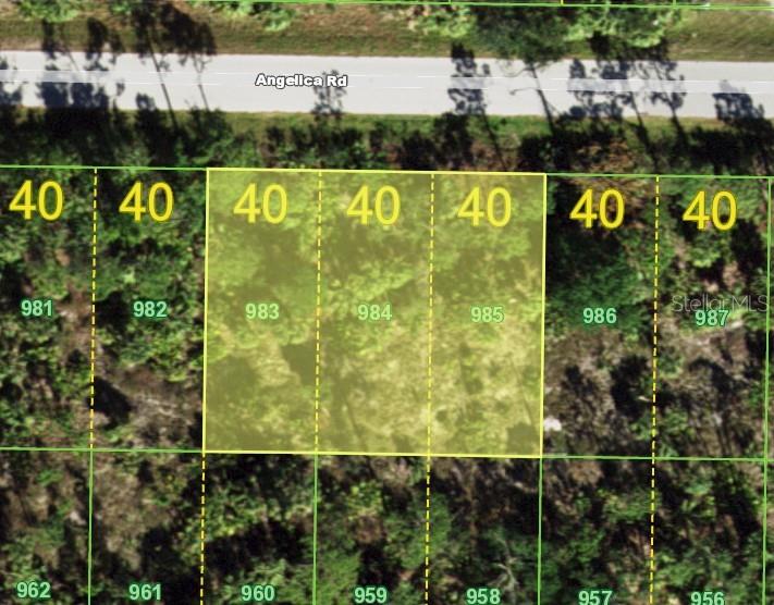 Photo of 26215 ANGELICA ROAD PUNTA GORDA FL 33955