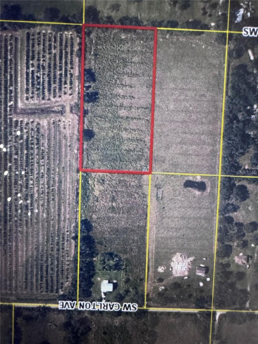 Photo of 5623 SW CARLTON AVENUE ARCADIA FL 34266