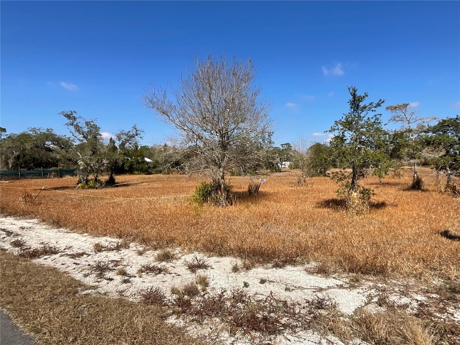 Photo of 490 HOBBS DRIVE VENUS FL 33960