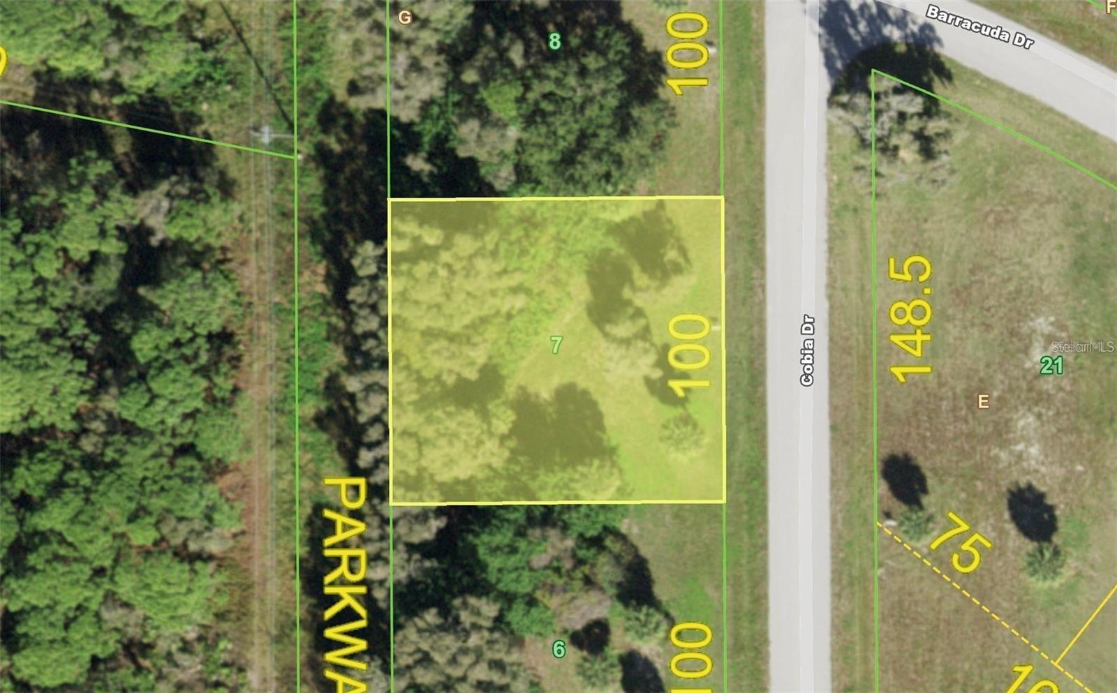 Photo of 70 COBIA DRIVE PLACIDA FL 33946