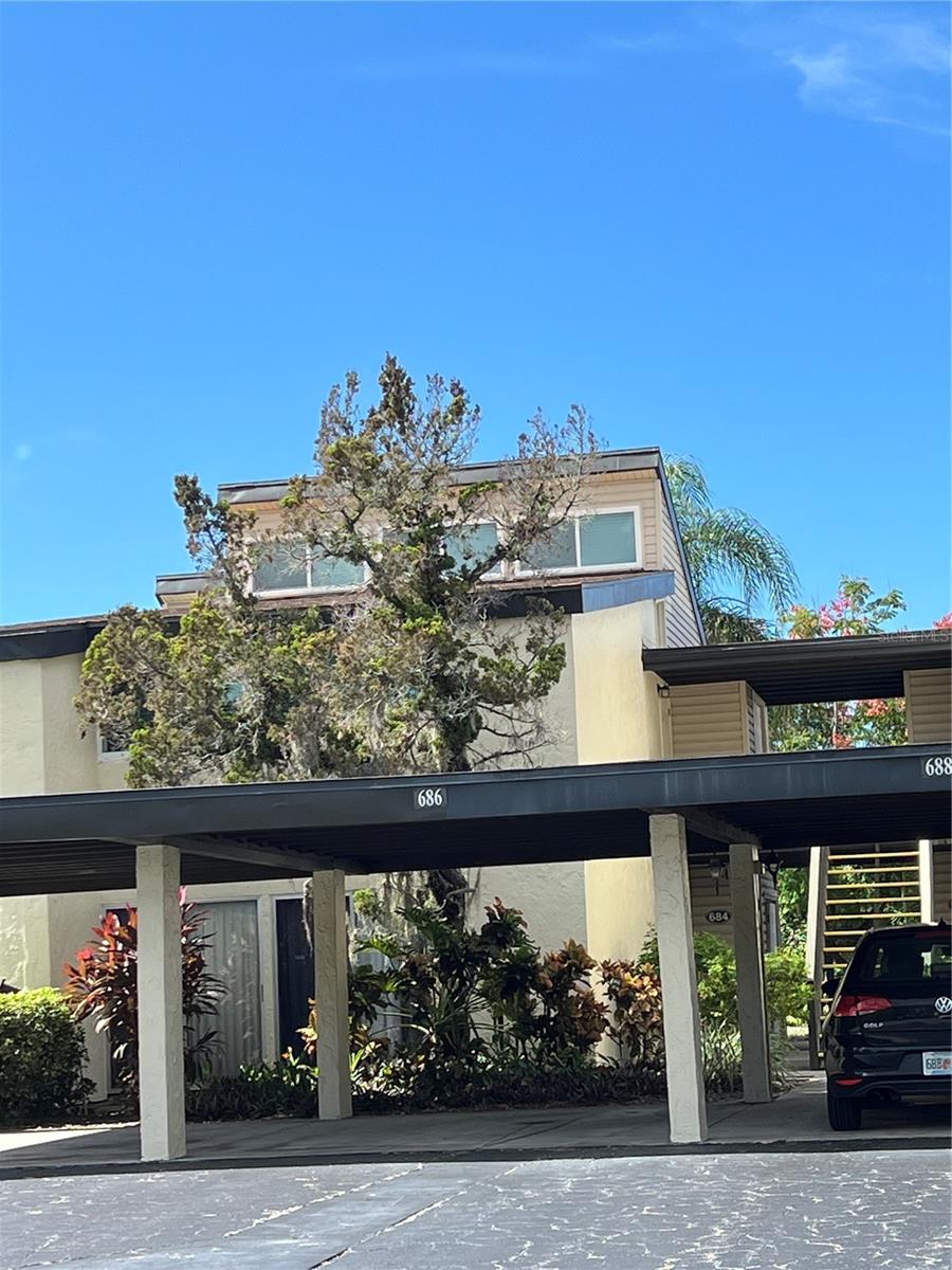 Photo of 686 WHITE PINE TREE ROAD #64 VENICE FL 34285