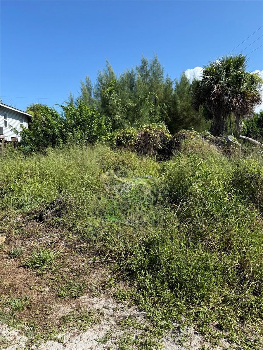 Photo of 8990 SEAGRAPE LANE PLACIDA FL 33946
