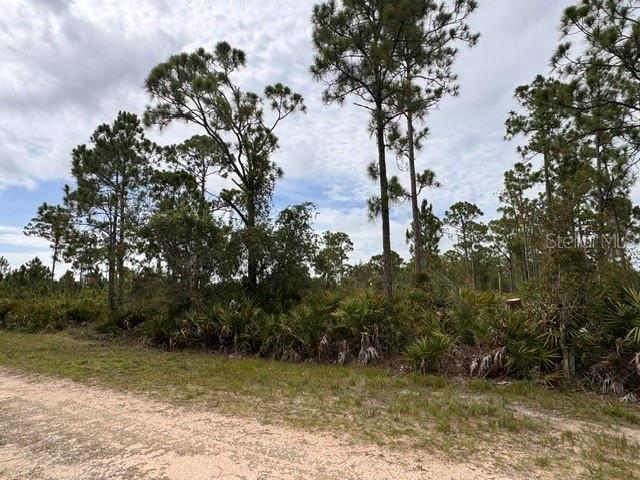 Photo of 27430 CHRYSALIS DRIVE PUNTA GORDA FL 33955