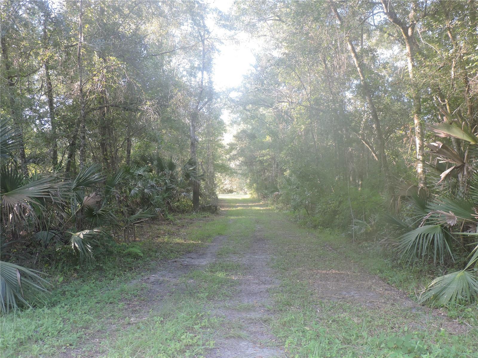 Photo of W COUNTY ROAD 2006 WEST BUNNELL FL 32110