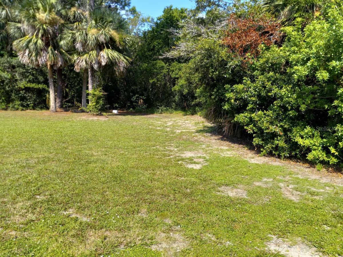 Photo of HEINEMAN STREET DAYTONA BEACH FL 32114