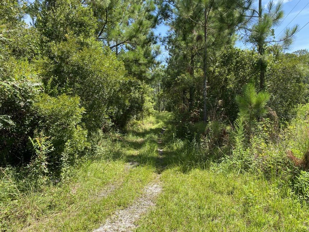 Photo of 550 W RIVER ROAD PALATKA FL 32177