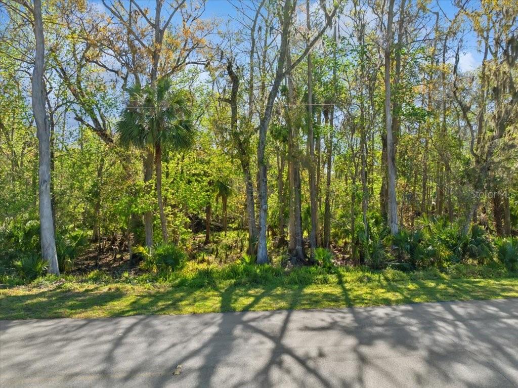 Photo of 138 BLARE DRIVE PALM COAST FL 32137