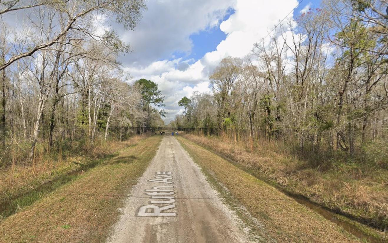 Photo of 10535 RUTH AVENUE HASTINGS FL 32145