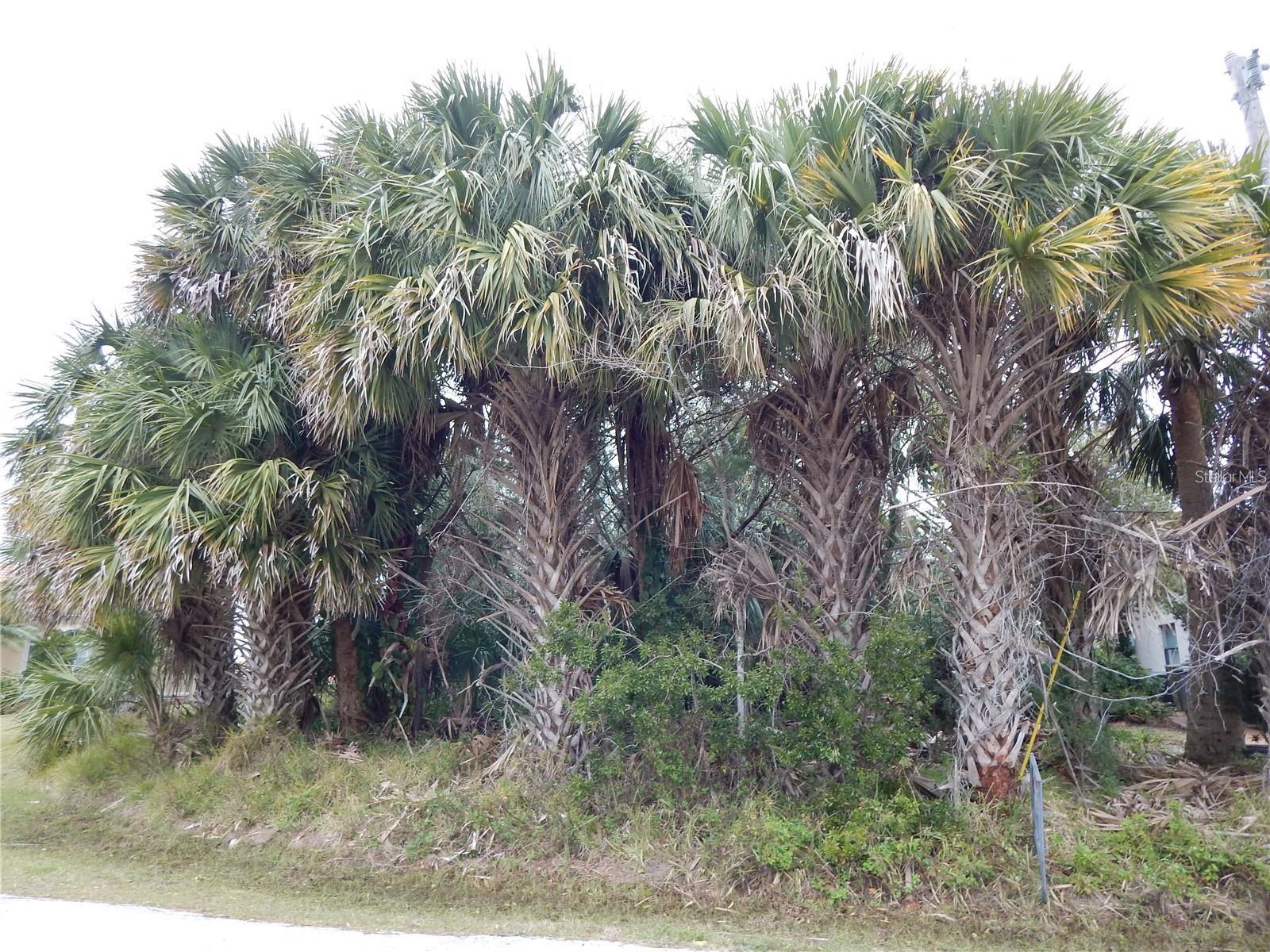 Photo of 8 COLLINGVILLE COURT PALM COAST FL 32137