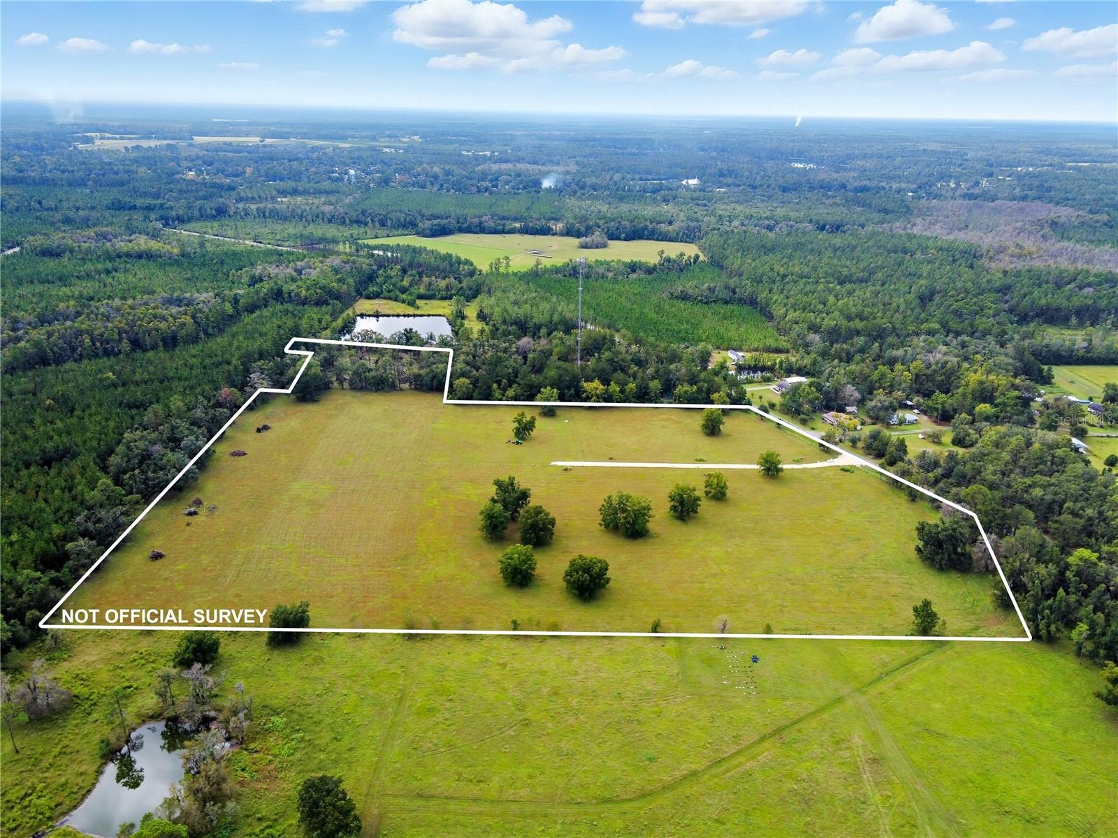 Photo of 11242 HOGAN ROAD LIVE OAK FL 32060