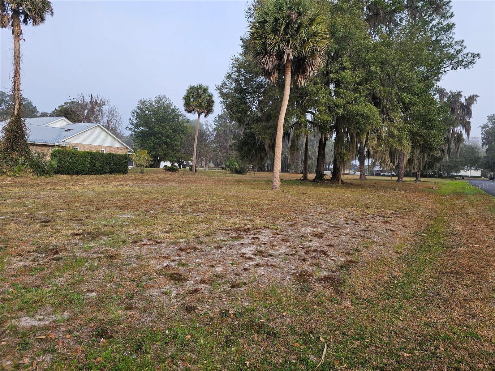 Photo of 000 MOUNT ROYAL AVENUE CRESCENT CITY FL 32112
