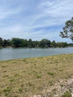 Photo of 699 MAHOGANY RUN PALM COAST FL 32137
