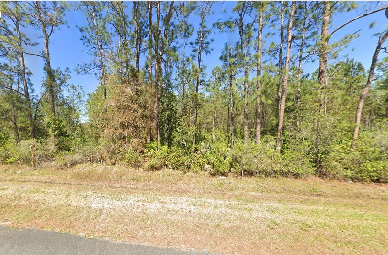 Photo of 4297 W HIGHWAY 100 BUNNELL FL 32110