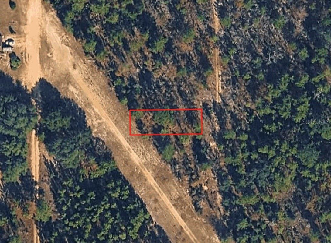 Photo of XX MAPLE ST. INTERLACHEN FL 32148