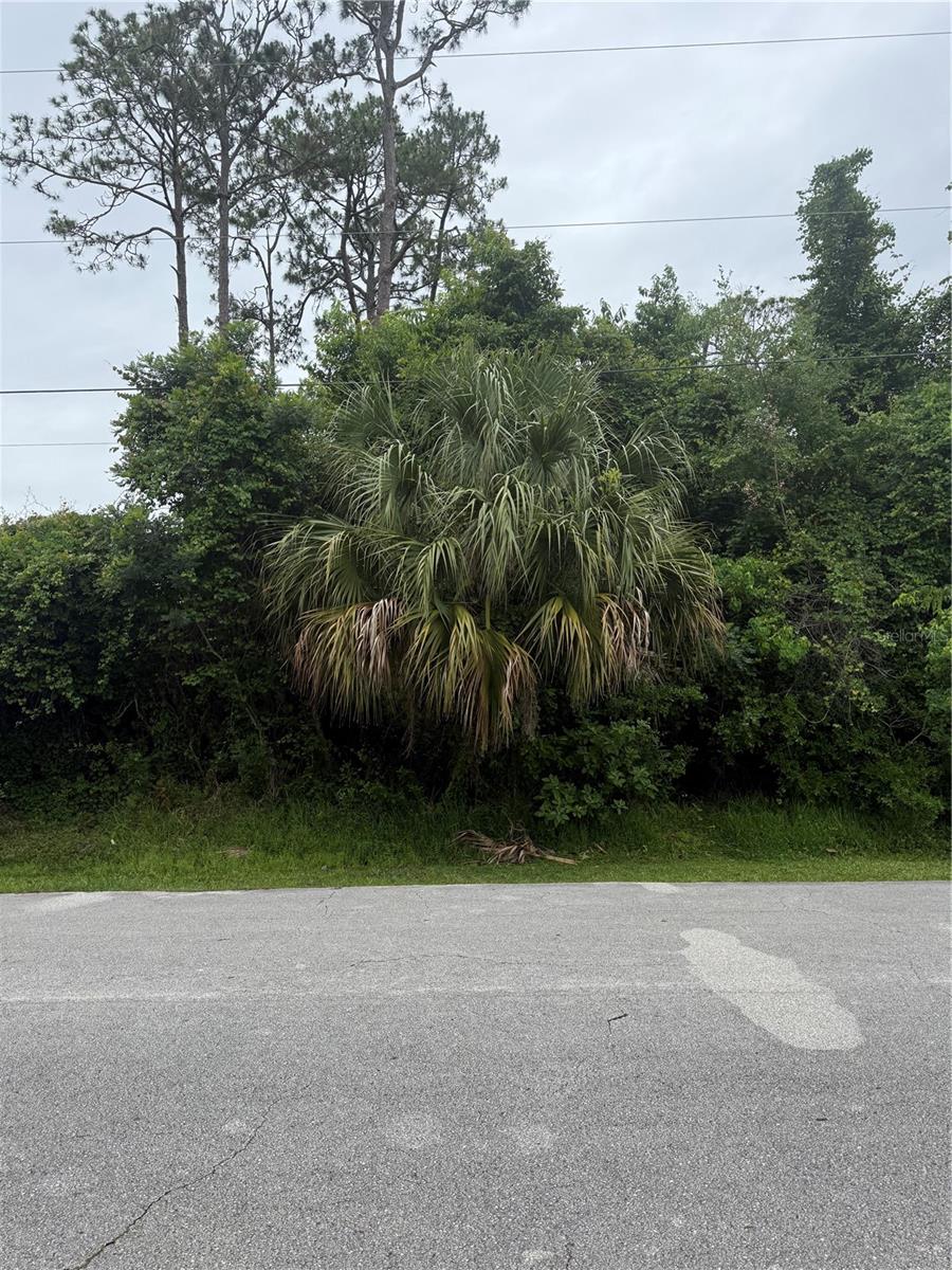 Photo of 38 SQUASH BLOSSOM TRAIL PALM COAST FL 32164