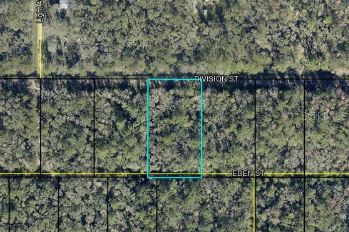 Photo of DIVISION STREET HASTINGS FL 32145