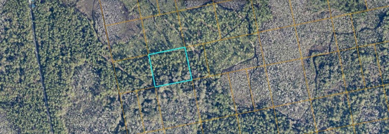 Photo of UNIMPROVED OAK HILL FL 32759