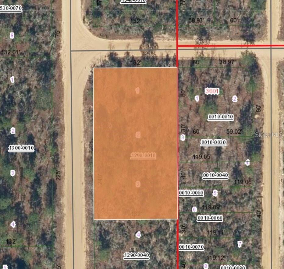 Photo of XX ORCHID AVE INTERLACHEN FL 32148