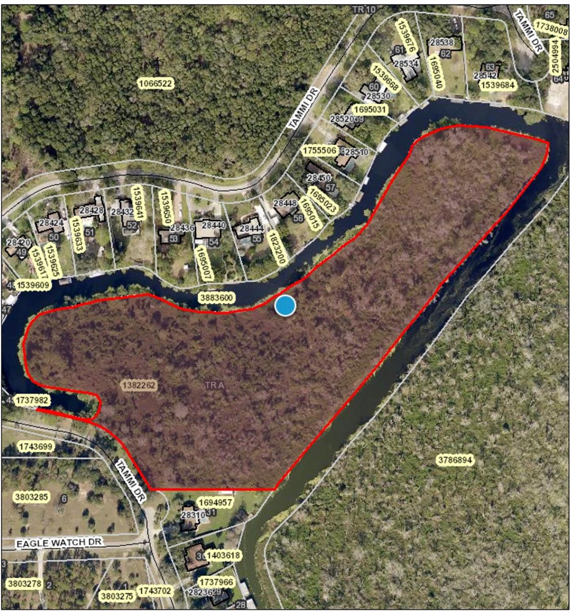 Photo of TAMMI DRIVE TAVARES FL 32778