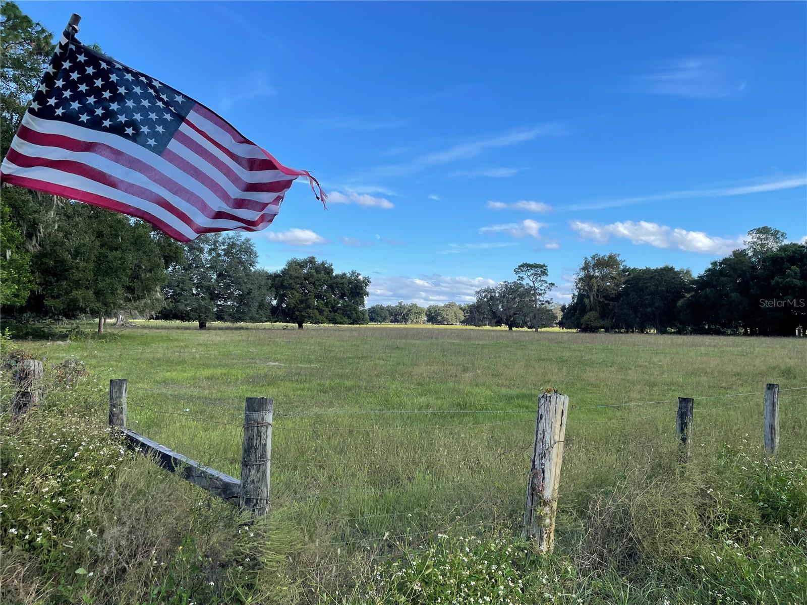 Photo of No Address Listed WEBSTER FL 33597