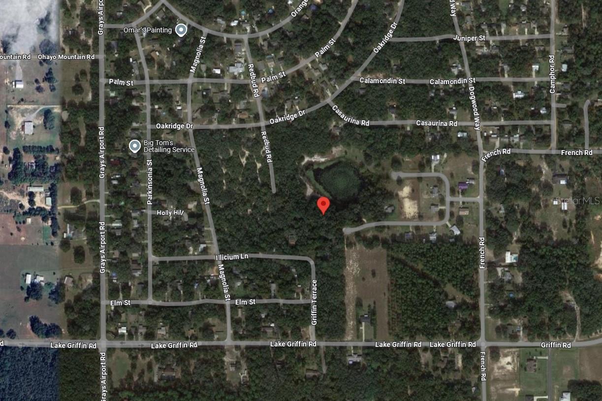 Photo of TBD REDBUD ROAD LADY LAKE FL 32159