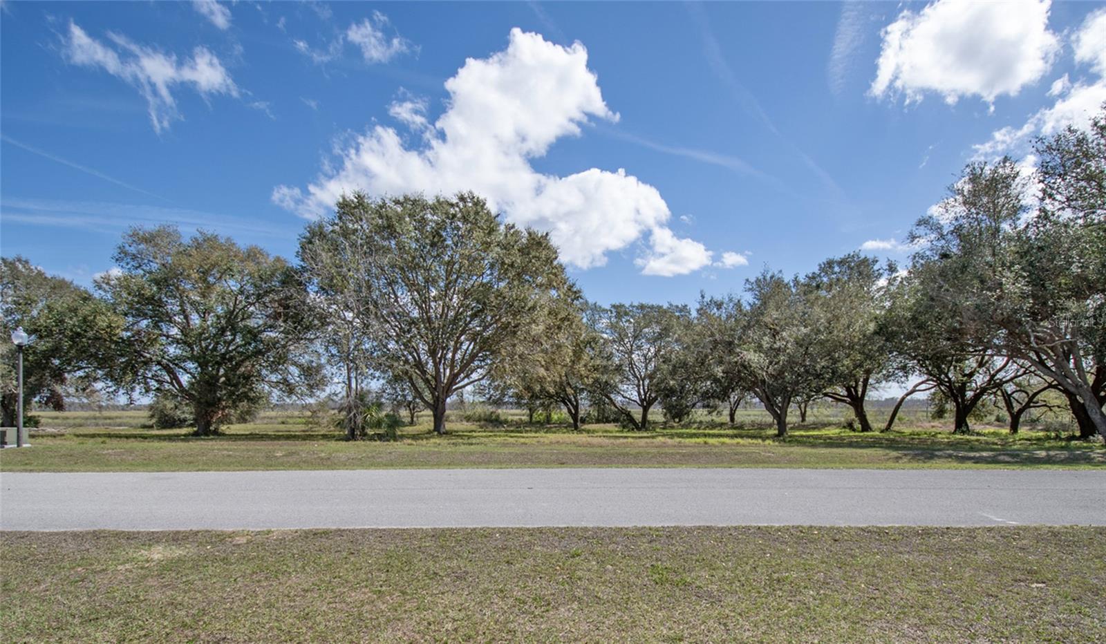 Photo of ROYAL PALM DR GROVELAND FL 34736