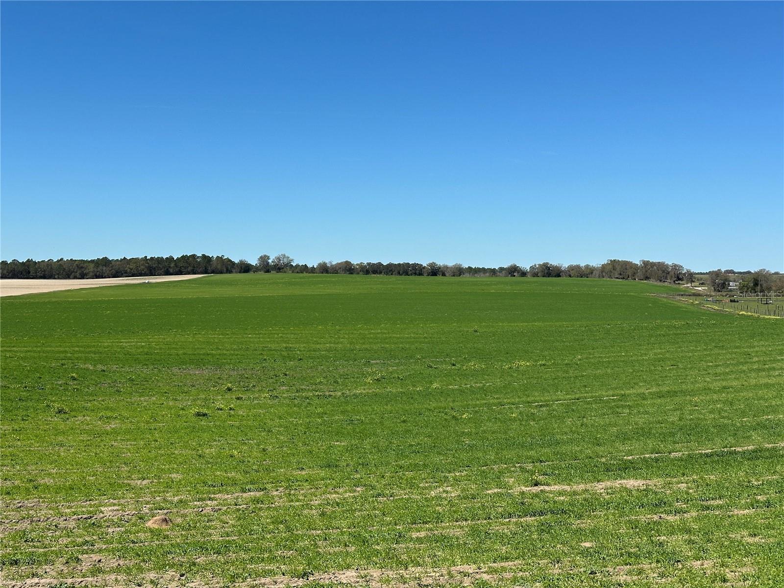 Photo of (190 AC-see addt'l PID's) NW 225TH AVENUE DUNNELLON FL 34431