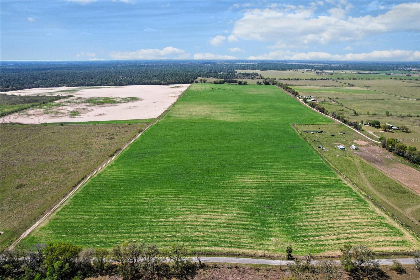 Photo of (190 AC-see addt'l PID's) NW 225TH AVENUE DUNNELLON FL 34431