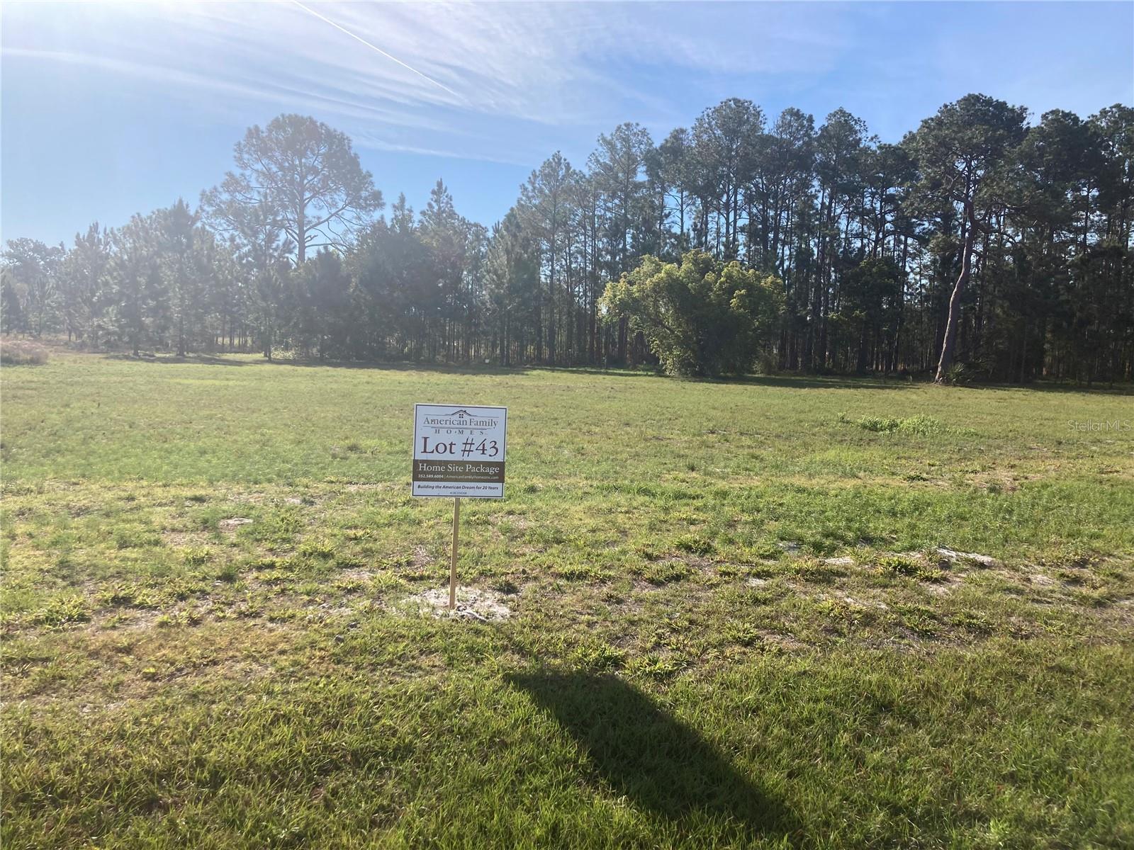 Photo of 38518 WOODED MEADOW DRIVE UMATILLA FL 32784