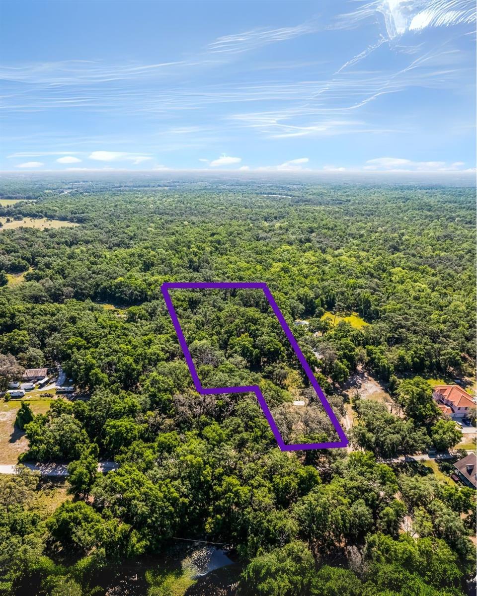 Photo of 3633 PANTHER PATH ROAD LUTZ FL 33559