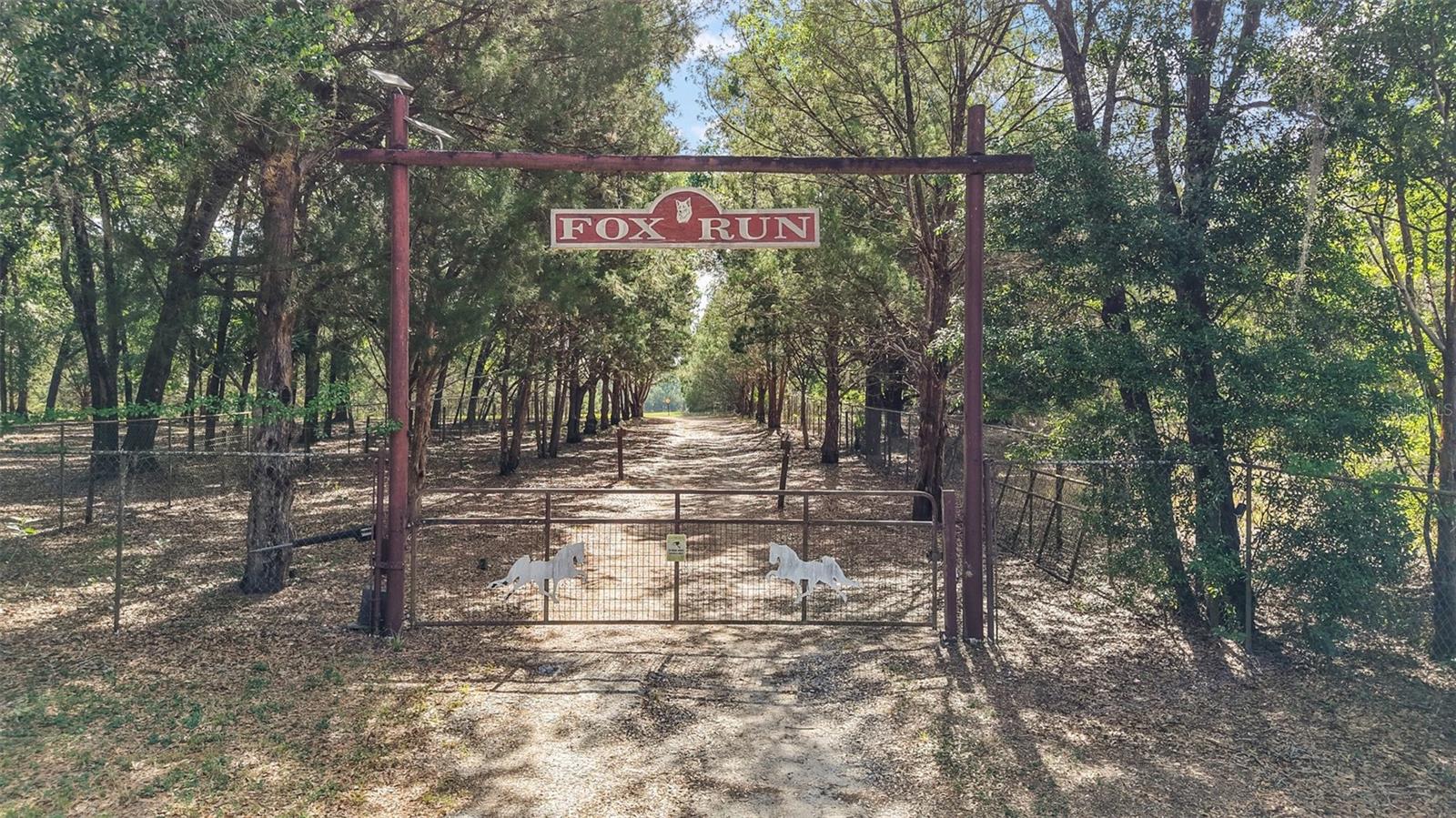 Photo of 27011 SE HIGHWAY 42 UMATILLA FL 32784