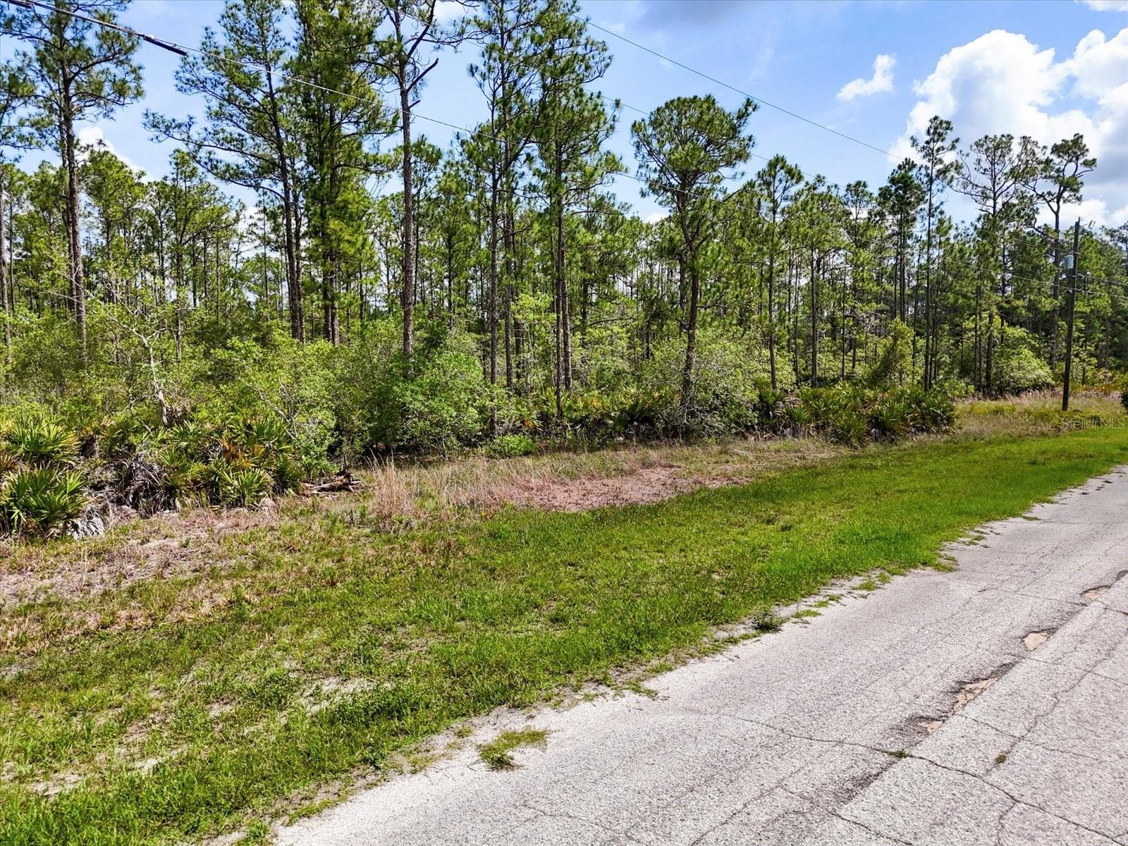 Photo of LOT 61 MEADOW LARK BOULEVARD LAKE WALES FL 33898