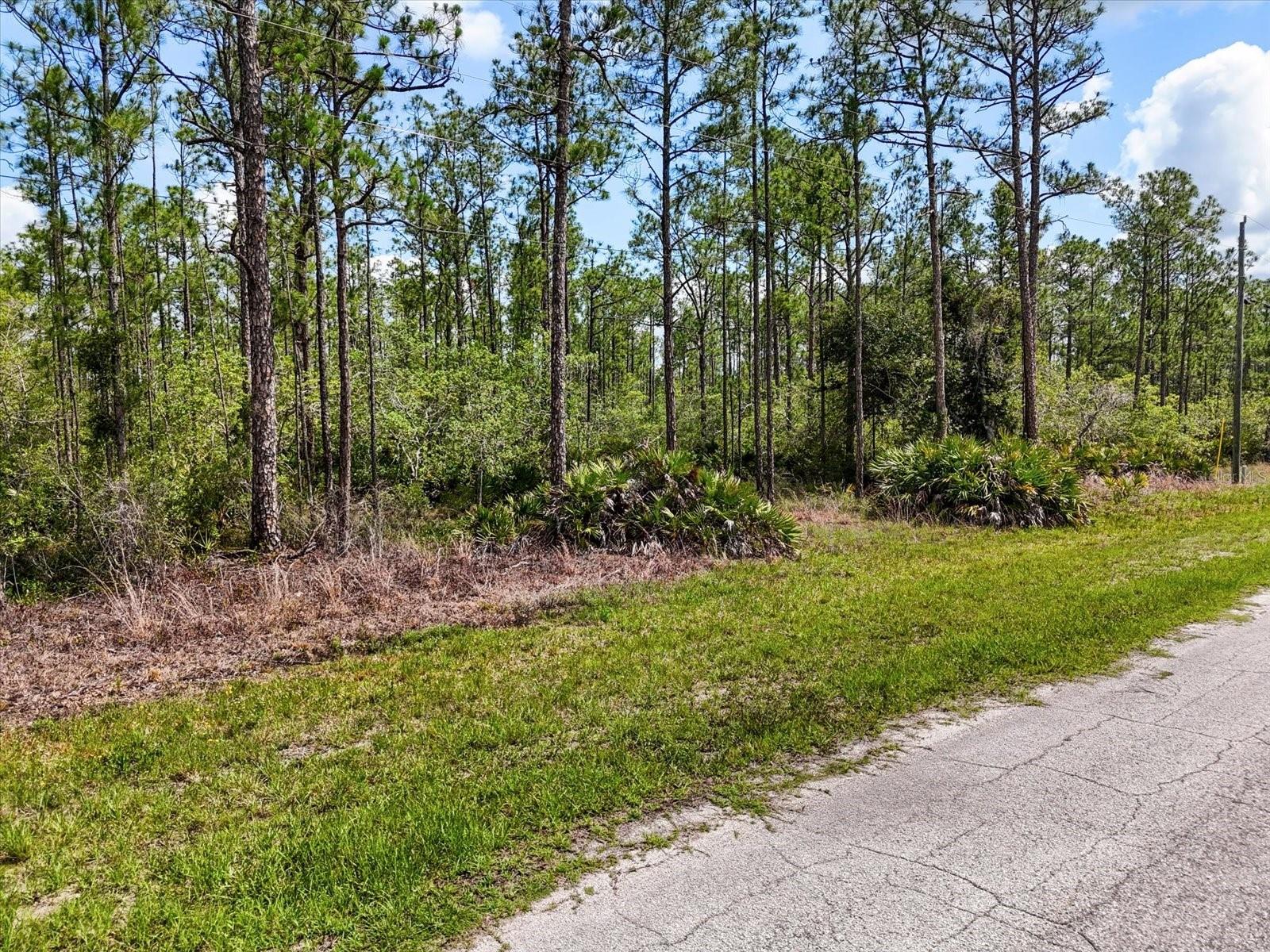 Photo of LOT 62 MEADOW LARK BOULEVARD LAKE WALES FL 33898