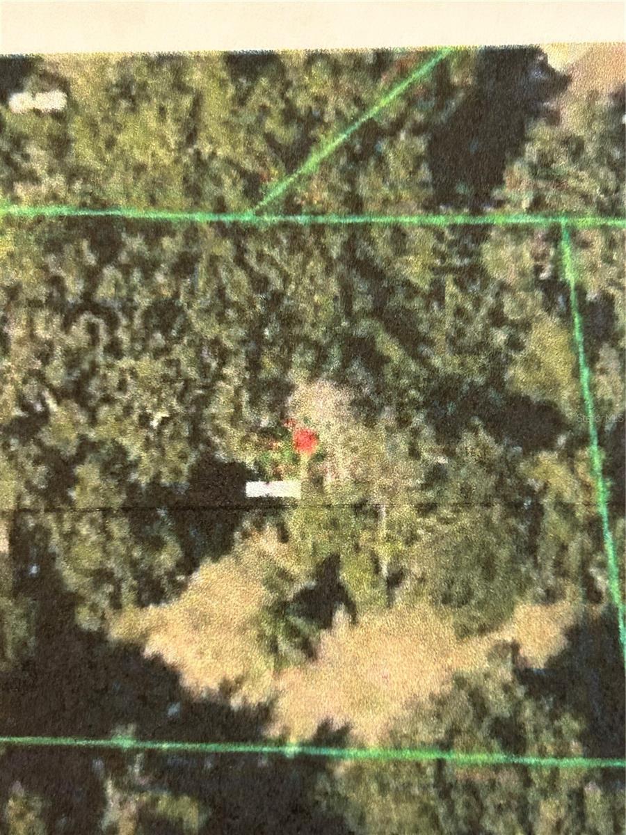 Photo of 6641 POPE ROAD ORLANDO FL 32810