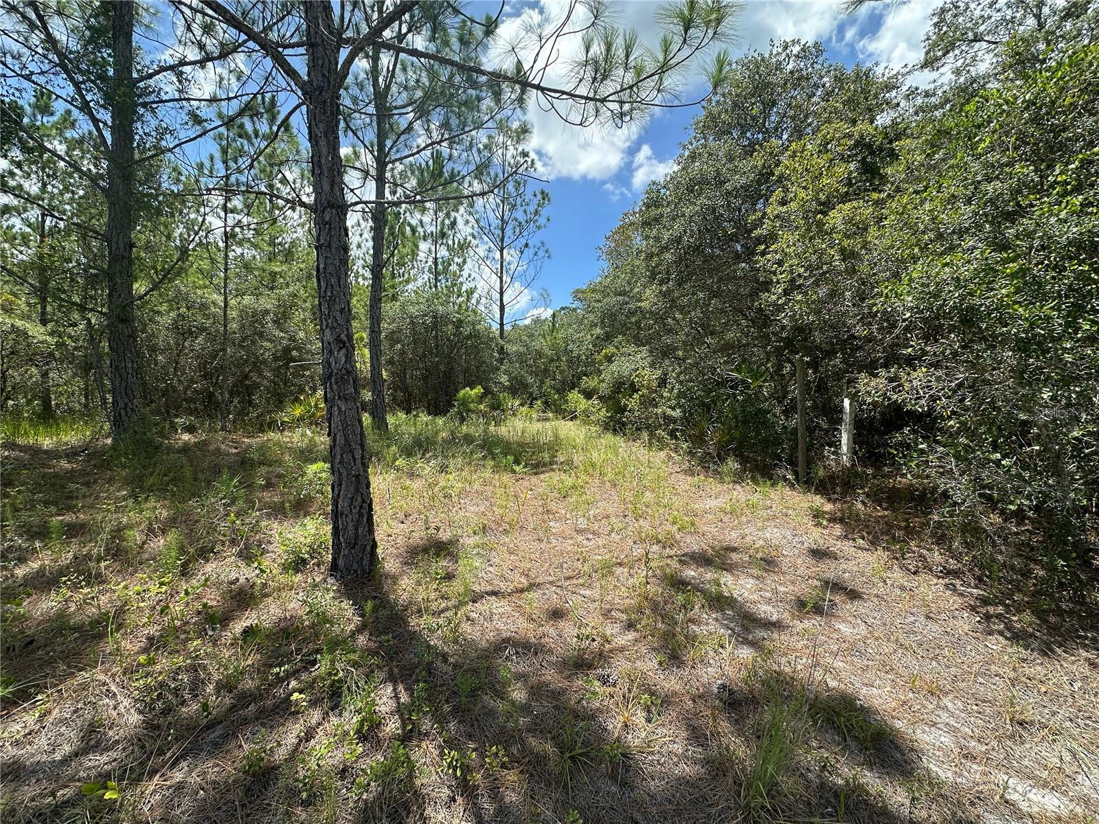 Photo of 796 FISHER ROAD OCKLAWAHA FL 32179
