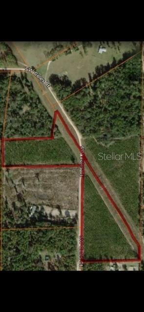 Photo of SW COLES COURT FORT WHITE FL 32038