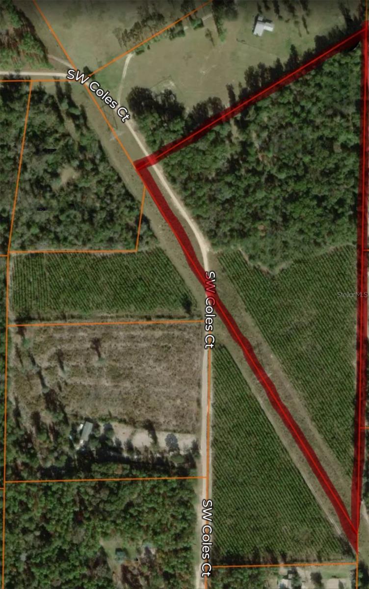 Photo of SW COLES COURT FORT WHITE FL 32038