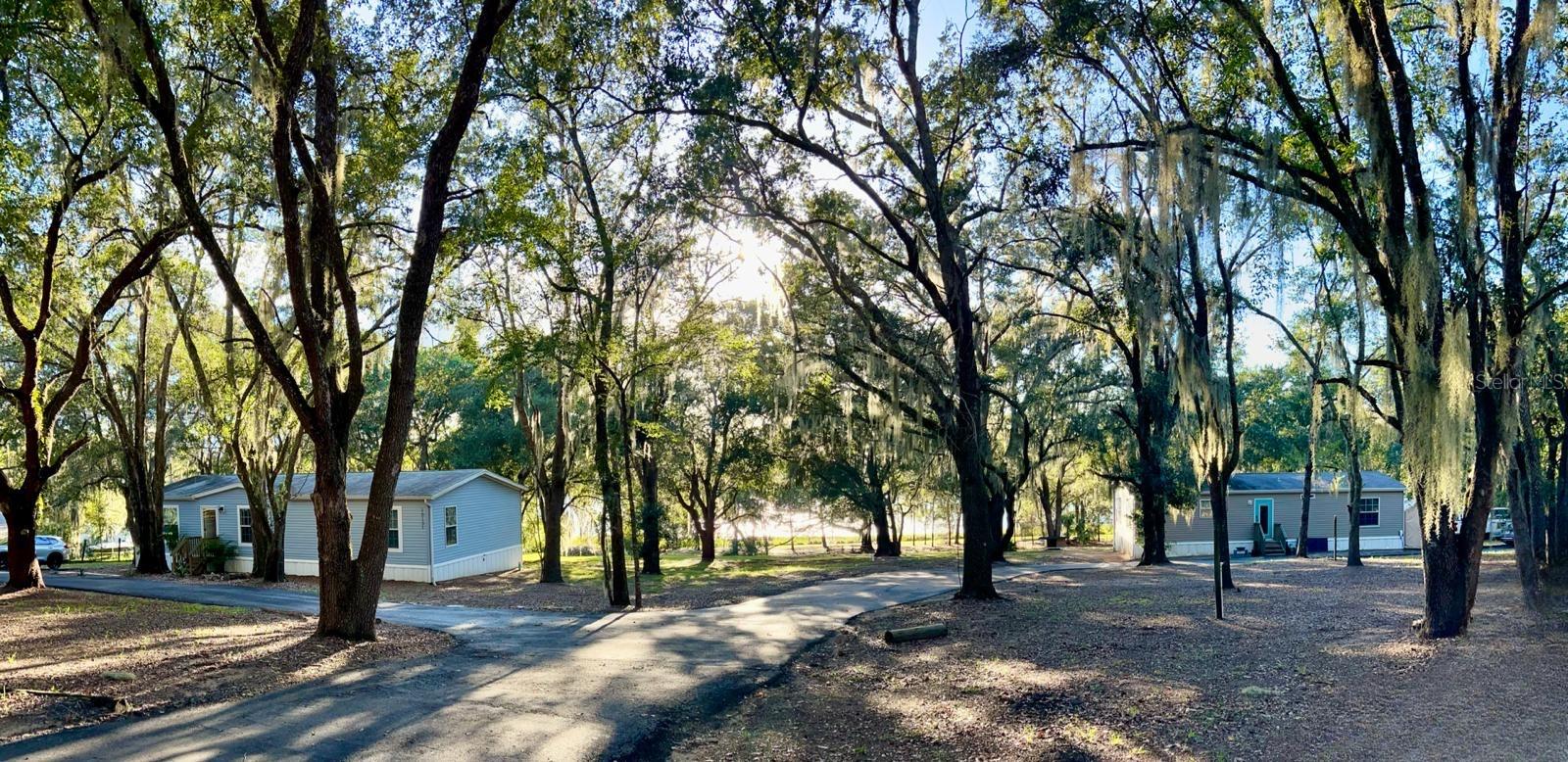 Photo of 10135 N EM EN EL GROVE ROAD LEESBURG FL 34788