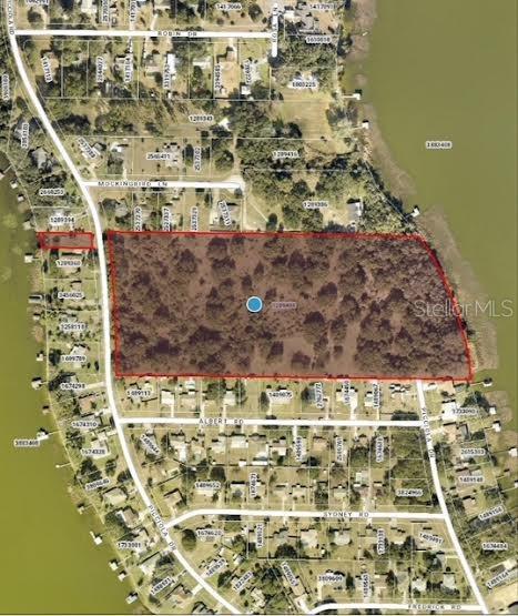 Photo of PICCIOLA DRIVE FRUITLAND PARK FL 34731