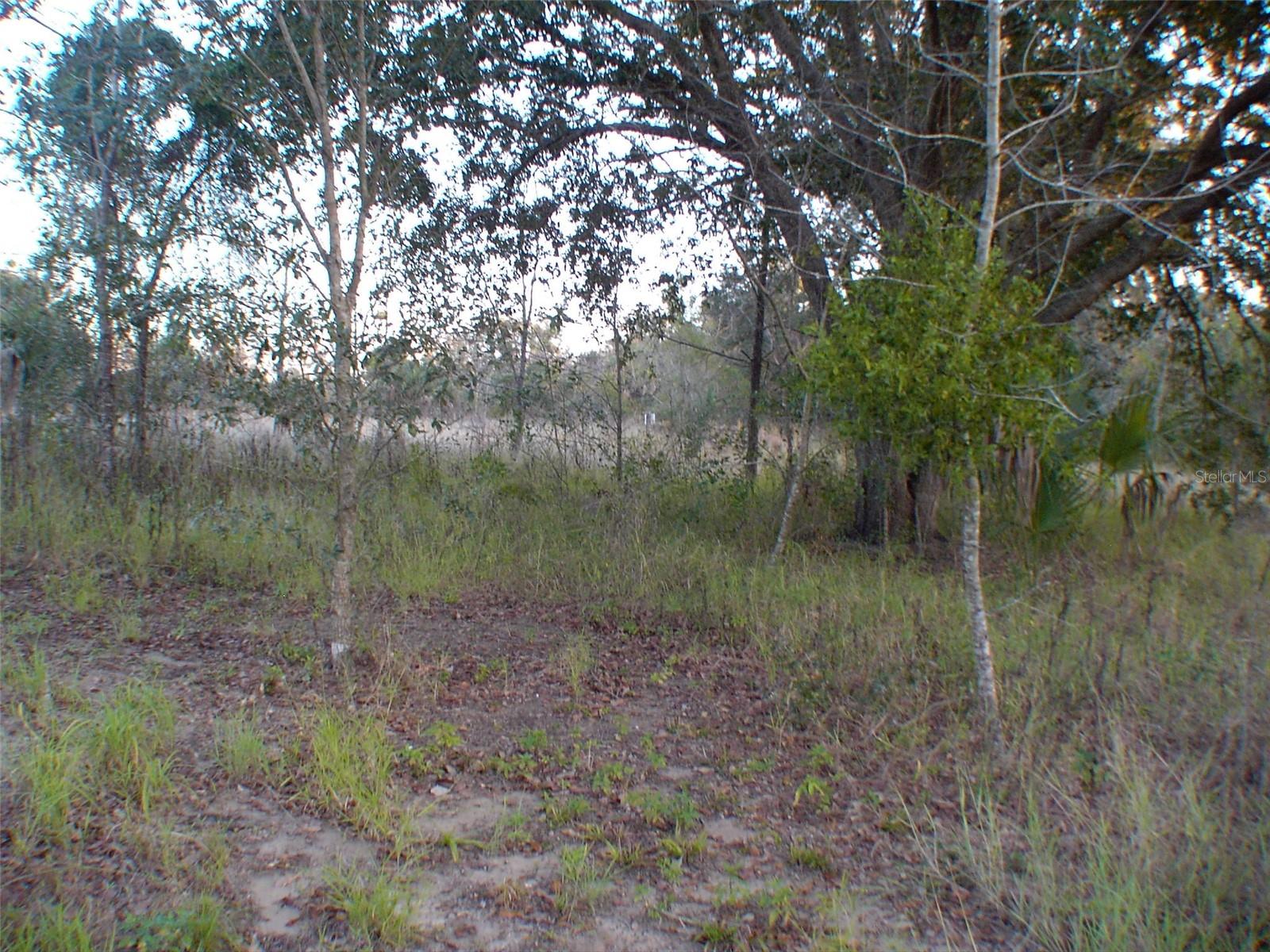 Photo of No Address Listed LADY LAKE FL 32159