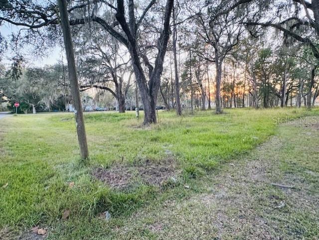 Photo of 17481 CELIA AVENUE BROOKSVILLE FL 34604