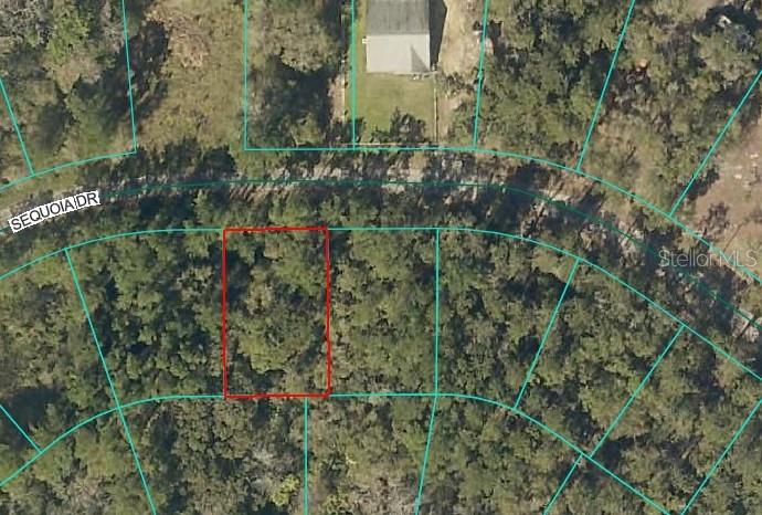 Photo of SEQUOIA DRIVE OCKLAWAHA FL 32179